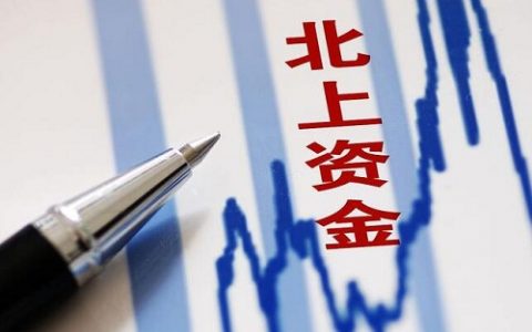 期货直播主持人